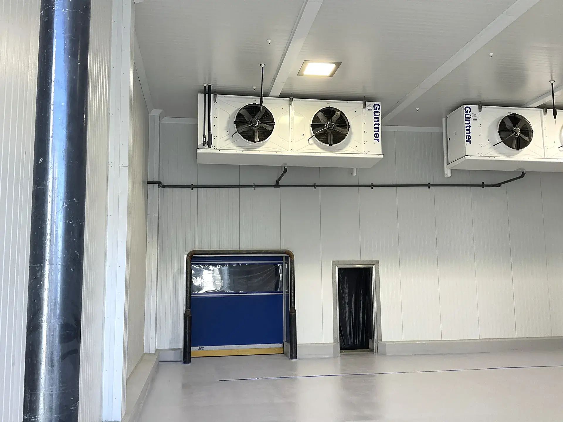 garlic company klassen and smith